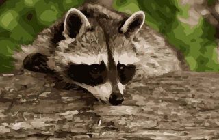 たぬきち
